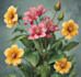 do illustrate best botanical illustration