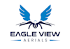 design excellent drone logo