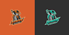 do modern custom samurai logo design