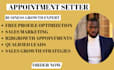 be your b2b appointment setter and sales closer