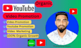 do youtube video promotion