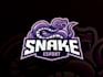 design elegant and powerful snake logo with custom concept