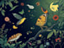 draw wild life in scientific illustration