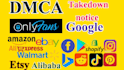 send professional dmca takedown notice copyright infringement removal