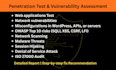 provide advanced penetration testing and vulnerability assessment