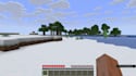 play minecraft with you