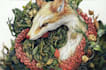 draw an animal and botanical illustration