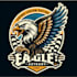 do a custom racing eagle mascot logo with t shirt design
