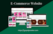 do professional website development, full stack web custom website design