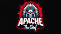 design outstanding apache head mascot logo in very short time