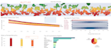 built interactive dashboards in tableau
