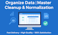 do accurate database cleanup, data entry, sorting, excel cleaning, CSV for you