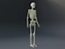 model you a stylized and realistic 3d character in blender