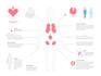 create medical illustrations, infographics, diagrams