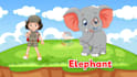 create 2d animation kids learning videos
