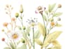 botanical illustration with scientific focus