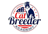 design wonderful cat logo