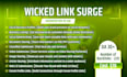 provide manual SEO backlinks to improve google ranking