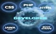 be your front end and back end web developer