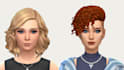 do sim 3 character modelling, sim 4 character animation , sim 4 design