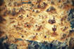 do fantasy map illustration isometric map
