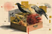 make botanical product illustration