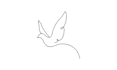 create minimalist continuous line art animation