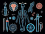 do medical and scientific illustrations