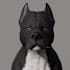 sculpt 3d character modeling, texturing and rendering