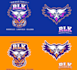 do professional high quality amazing pirates logo