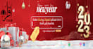 design a professional flyer or brochure for your business