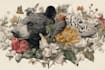 draw high quality animal, insect, and botanical art