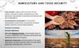 create professional PPT presentations creative writtings cover page designing