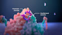 create 3d cancer drug mechanism of action medical animation pharma biotech video