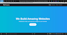 develop a stunning and professional  landing page website for you