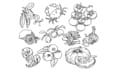 draw custom black and white line art illustration