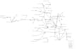 do genetic diversity analysis and haplotyping