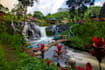 create cinematic ai videos from real nature photography