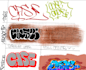 design a professional graffiti design