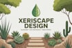 design xeriscape plans with water efficient plants and hardscape layouts