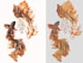 do custom embroidery digitizing pes dst emb jef in few hours