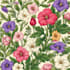 illustrate best botanical illustration