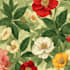 illustrate best botanical illustration