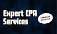 prepare balance sheet, financial statements, projection