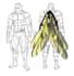 create full character design