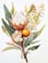 create a botanical illustration