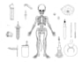 draw a scientific illustration