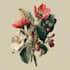 draw digital botanical illustrations