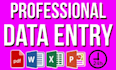 data entry, web research and spreadsheet management