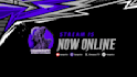 design full stream package, animated stream overlay and twitch logo